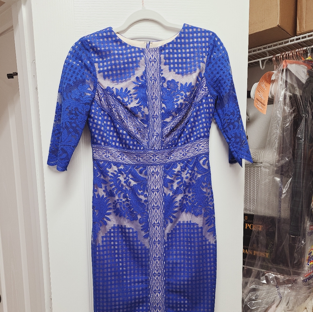 Blue Lace Bodycon Dress